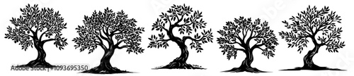 Elegant olive tree illustrations – hand-drawn black silhouette vector set