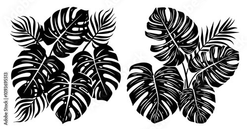 Set of monstera leaf designs – tropical plant illustration black vector