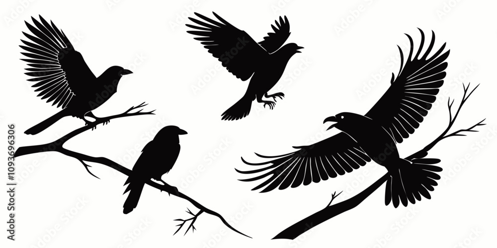 Obraz premium Set of black bird silhouettes isolated on transparent background or white background. Vector elements for design.
