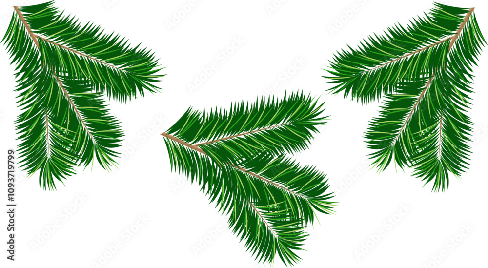 Spruce green fluffy branches, for New Year and Christmas decor Spruce green fluffy branches, for New Year and Christmas decor