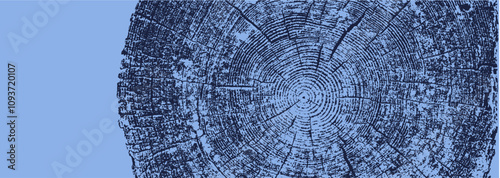 Blue monotone close up of vintage end grain of wood slab. Tree rings art with texture and cracked surface.