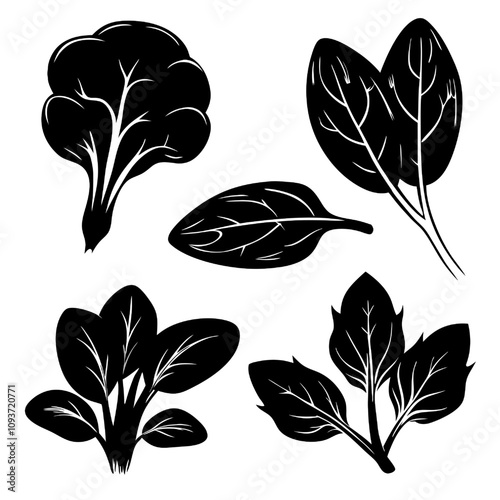 Vector Silhouette Spinach and Broccoli Collection 