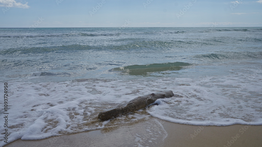Obraz premium A serene view of the pescoluse beach in salento, puglia, italy, with gentle waves lapping the shore and a piece of driftwood on the sand under a clear blue sky.