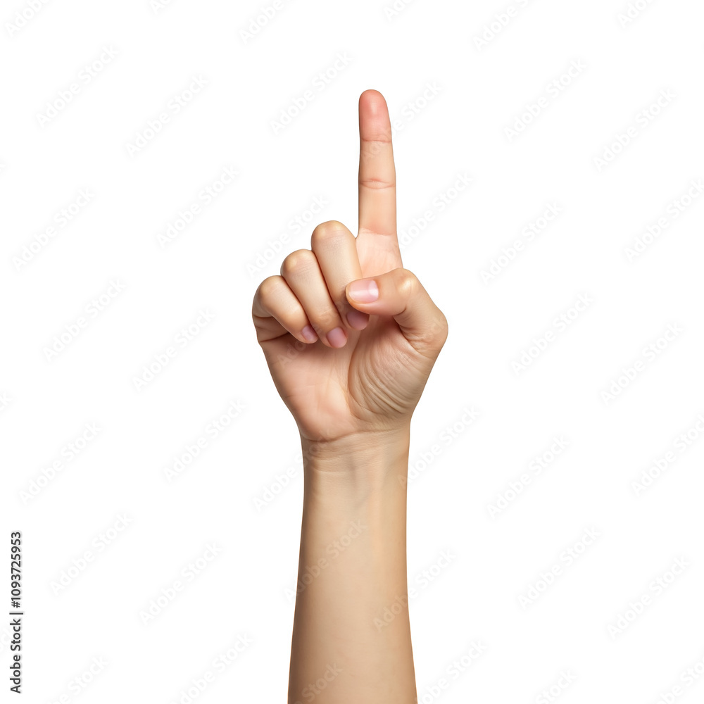 Female hand isolated on a white background. Female hand isolated on a white background.