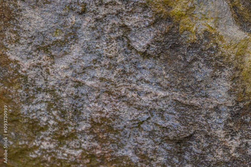 Variety Of Lichens On Stone Variety Of Lichens On Stone