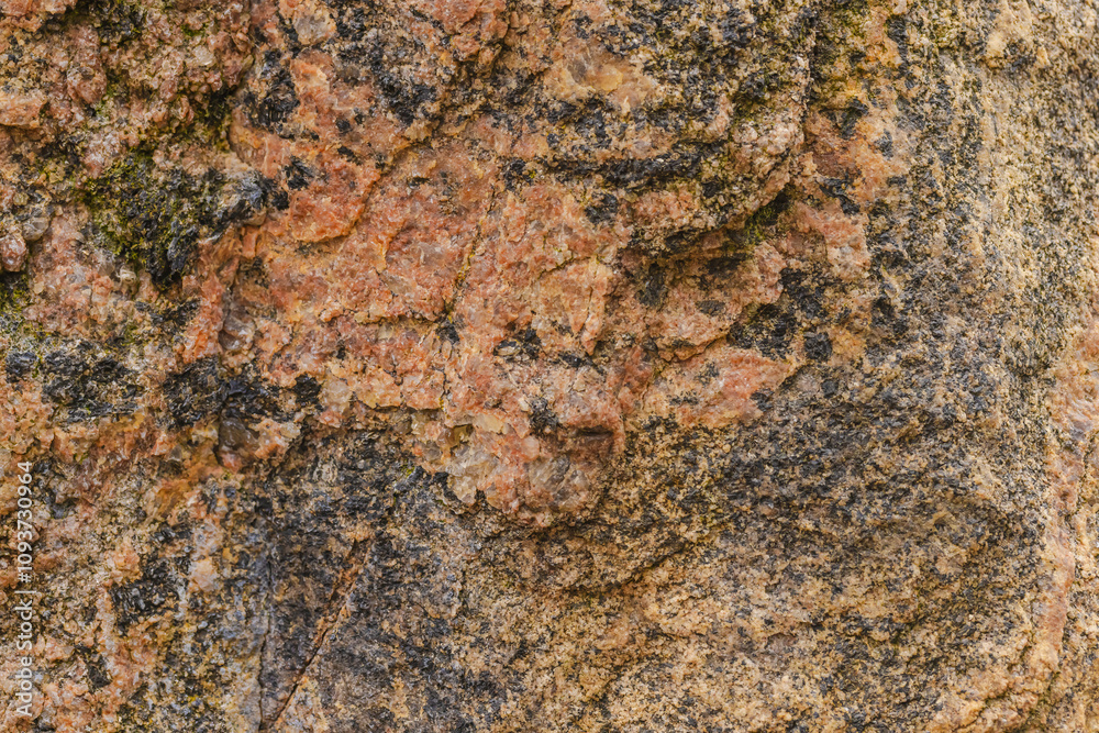 Variety Of Lichens On Stone Variety Of Lichens On Stone