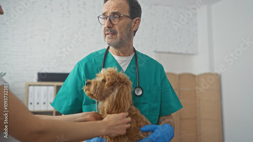 Hispanic veterinarian in scrubs examines a poodle held by a person in a clinic room. photo