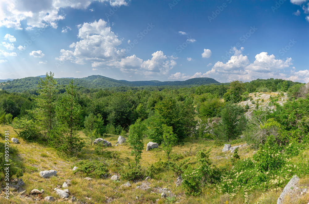 Naklejka premium landscape with sky and clouds