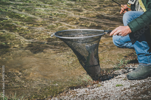 A man catches trout with a landing net in a clear mountain lake in Europe. Fishing with license in compliance with fishing rules