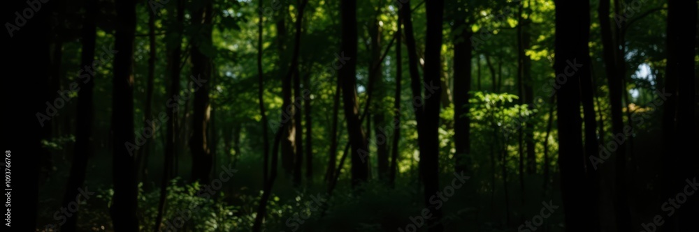 A collection of various shadows created by dappled light filtering through leaves, setting, texture, forest