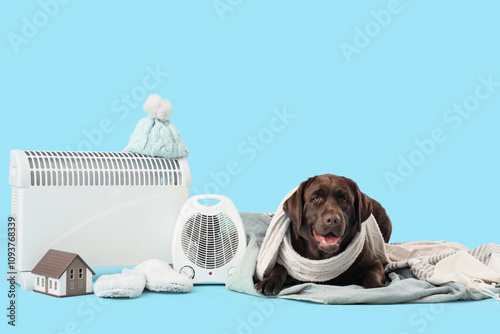 Cute Labrador dog with warm...