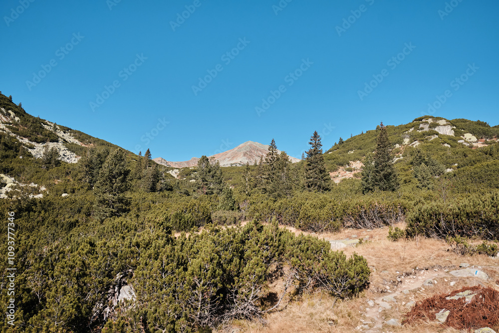 Stunning mountain landscape under a clear blue sky. Lush green vegetation carpets the hills, leading the eye to the majestic peak in the distance. Perfect for travel, nature, and adventure themes. Stunning mountain landscape under a clear blue sky. Lush green vegetation carpets the hills, leading the eye to the majestic peak in the distance. Perfect for travel, nature, and adventure themes.