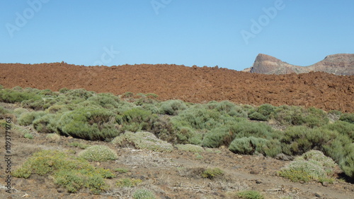 Scenic Volcanic Landscape With Hills and Sparse Vegetation photo