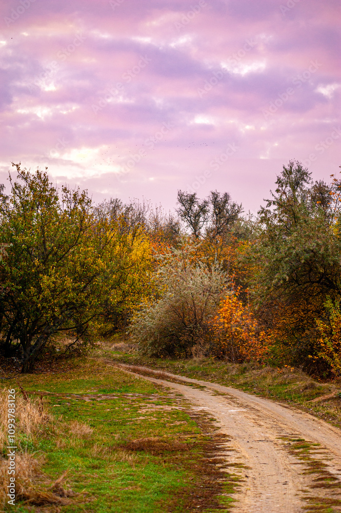 A path through trees and bushes with green, yellow and orange foliage, against the backdrop of a bright pink dawn sky A path through trees and bushes with green, yellow and orange foliage, against the backdrop of a bright pink dawn sky