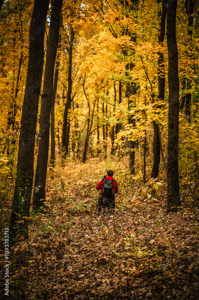 man in red jacket kneeling in brightly leaf strewn clearing in autumn forest with yellow, orange and green leaves. Autumn atmosphere man in red jacket kneeling in brightly leaf strewn clearing in autumn forest with yellow, orange and green leaves. Autumn atmosphere