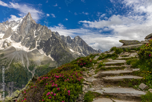 Petit Dru granite mountain wall and summit in Chamonix valley, french Alps. Prominent mountain peak in the Alps, stunning landscape view of the rocky peak covered with clouds, snow and ice