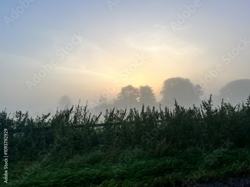 foggy sunrise over the field