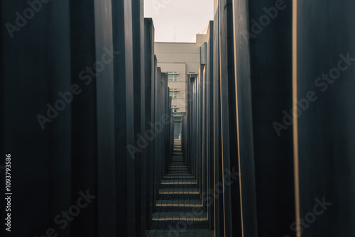 A long row of sturdy concrete columns gracefully leading to a building