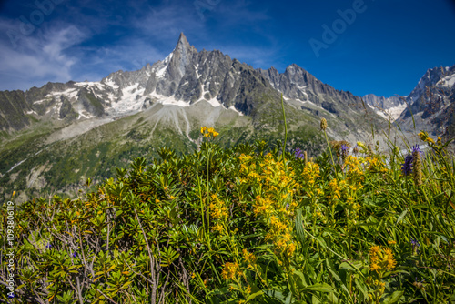 Petit Dru granite mountain wall and summit in Chamonix valley, french Alps. Prominent mountain peak in the Alps, stunning landscape view of the rocky peak covered with clouds, snow and ice