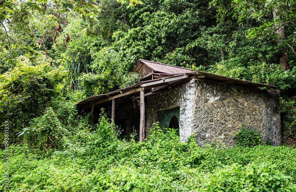 Abandones tropical resort theme park in a jungle forest creepy scary malaysia Abandones tropical resort theme park in a jungle forest creepy scary malaysia