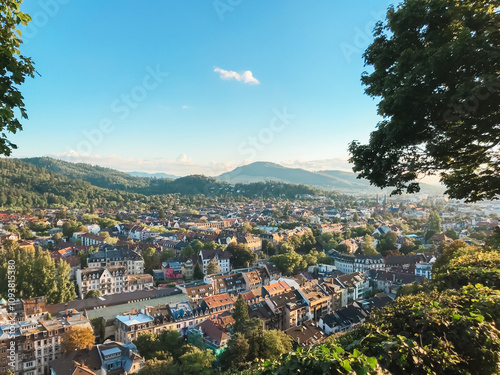 A city view with a blue sky and a tree in the foreground