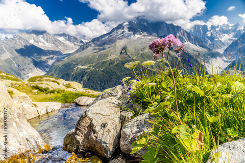 Petit Dru granite mountain wall and summit in Chamonix valley, french Alps. Prominent mountain peak in the Alps, stunning landscape view of the rocky peak covered with clouds, snow and ice