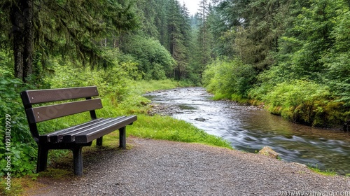 Serene Natural Landscape Featuring Wooden Bench by Gentle Stream Surrounded by Lush Green Forest and Tranquil Atmosphere, Ideal for Peaceful Reflection and Relaxation