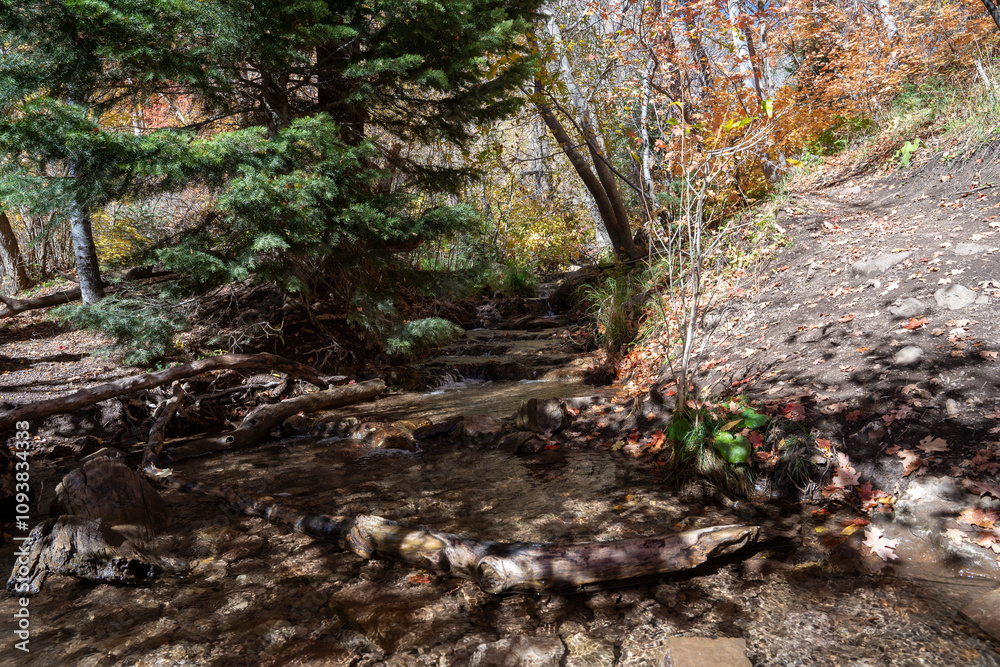 A flowing stream surrounded by fall colors up in Millcreek Canyon, Utah. A flowing stream surrounded by fall colors up in Millcreek Canyon, Utah.