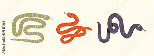 Colorful Snake Illustrations