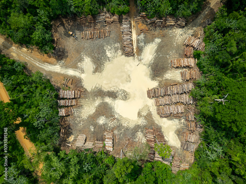 Bild auf Leinwand Aerial view of a logging yard in the Amazon rainforest: The yard is located in a clearing surrounded by dense forest