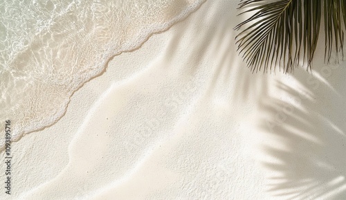 Tropical beach scene with palm shadows on fine white sand and sunlight reflection on clear water