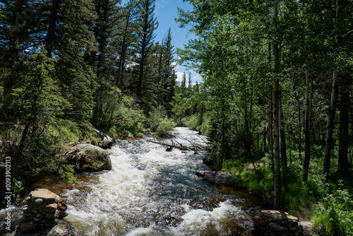 River in a green forest