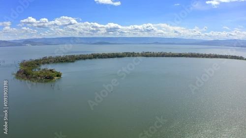 Discover the serene and peaceful beauty of Lake Naivasha, a breathtaking freshwater lake surrounded by lush green landscapes and mesmerizingly beautiful blue skies. The beauty of African wildlife. 