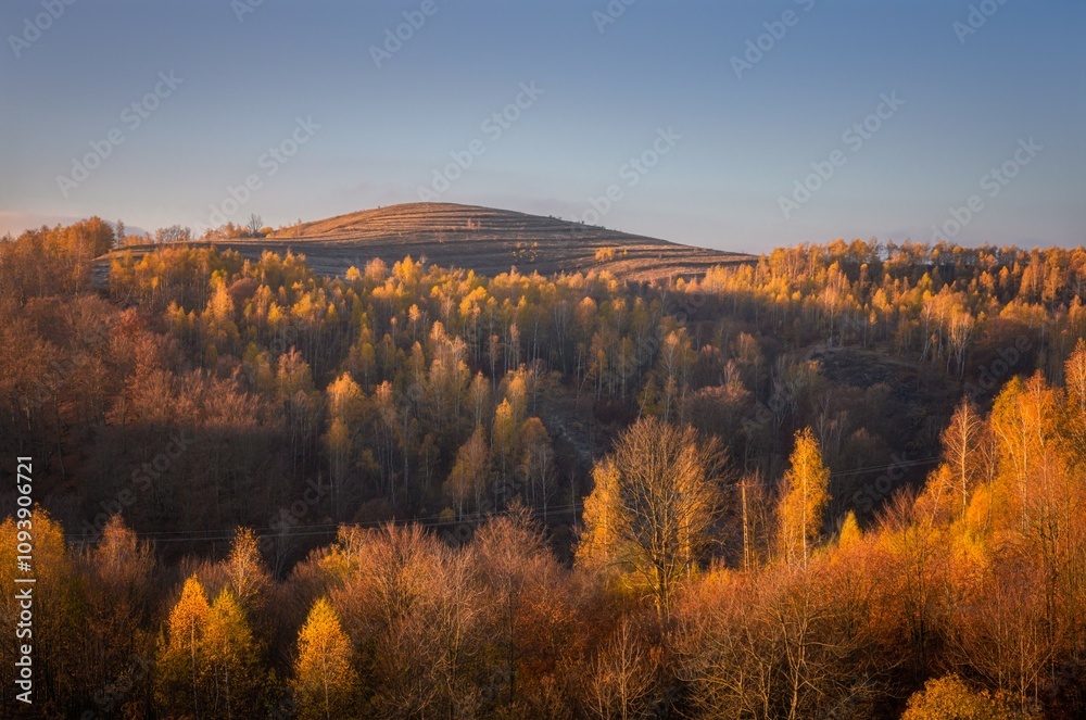 Fototapeta premium Autumn landscape with colorful forest on a hill.
