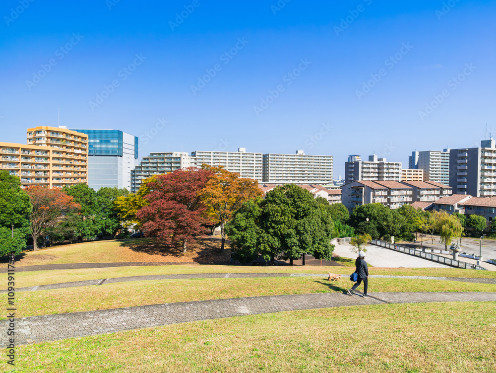 郊外の住宅地 多摩ニュータウン