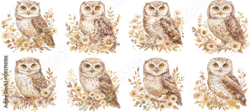 owl watercolor clipart