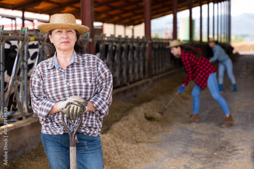 Portrait of smiling elderly woman cow breeder standing in outdoor cowshed on summer day Portrait of smiling elderly woman cow breeder standing in outdoor cowshed on summer day