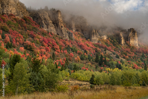 USA, Idaho. Fall foliage in Palisades region photo