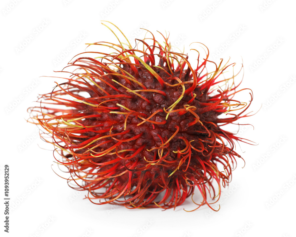 Naklejka premium One whole rambutan isolated on white. Exotic fruit