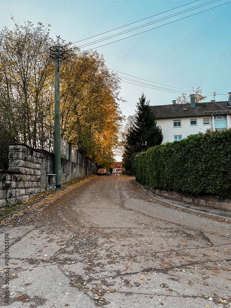 A street with a house on the right and a tree on the left A street with a house on the right and a tree on the left