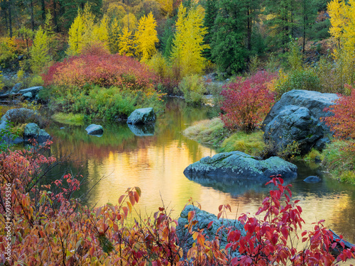 WA, Tumwater Canyon, Autumn reflection photo