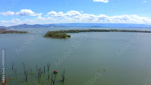 Experience a breathtaking aerial view of the stunning Lake Naivasha, showcasing its lush green landscapes, tranquil waters, and fascinating unique tree formations. Wild life of planet earth. Africa.