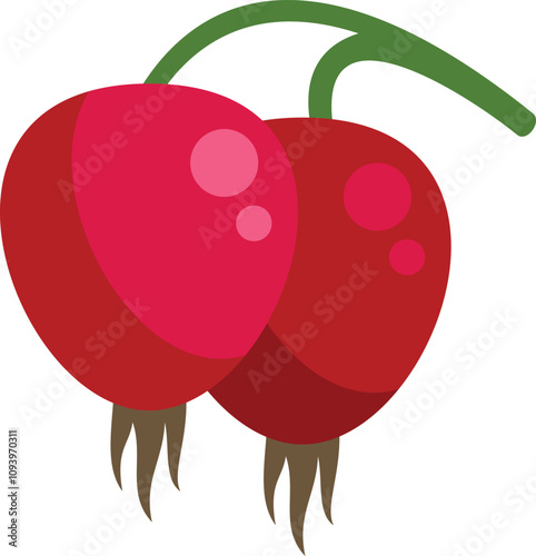 This illustration features two ripe rose hips hanging on a branch, showcasing their vibrant red color and plump appearance