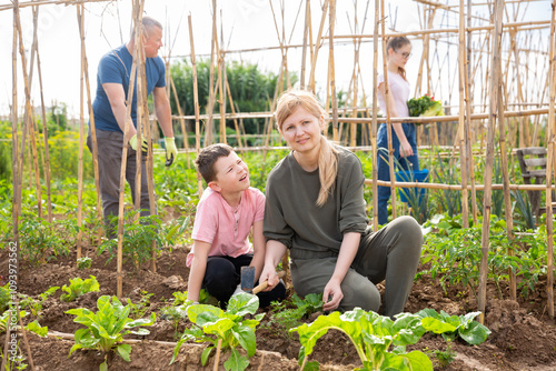 Mom and her teenager son look after sprouts on farm field photo