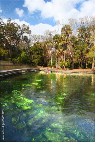 Wekiwa Springs in Florida photo