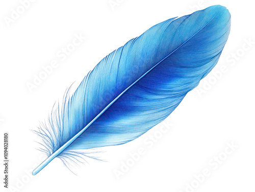 Vibrant Blue Feather on a transparent background