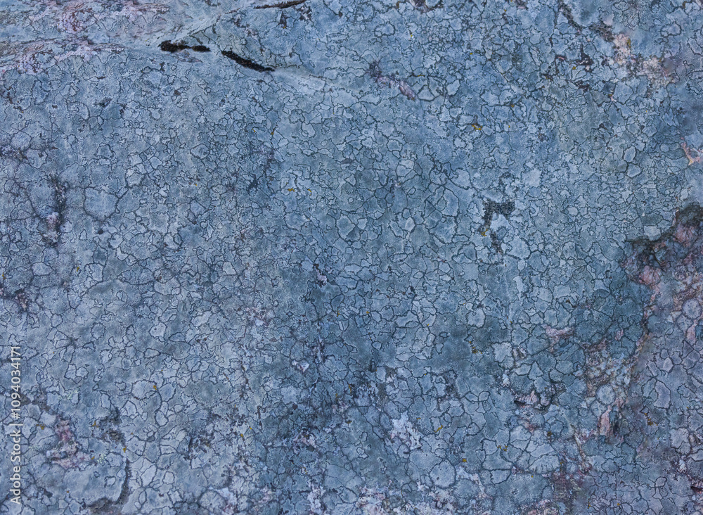 Obraz premium Map Lichens In Northern Ontario
