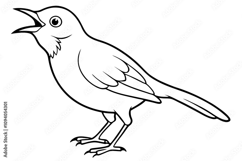 cute babbler bird white background vector art illustration cute babbler bird white background vector art illustration