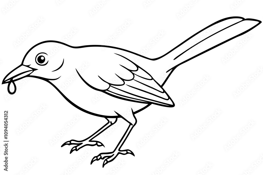 cute babbler bird white background vector art illustration cute babbler bird white background vector art illustration