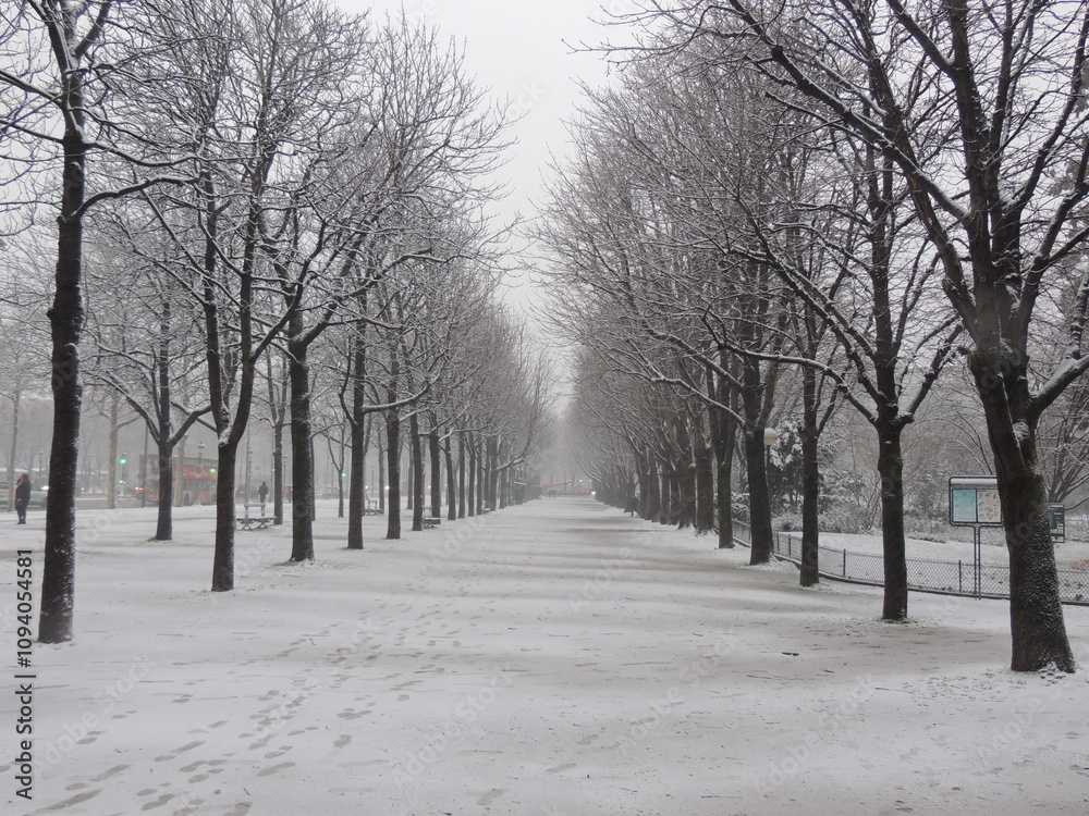 Avenue des Champs Elysées in the winter - Paris - France Avenue des Champs Elysées in the winter - Paris - France